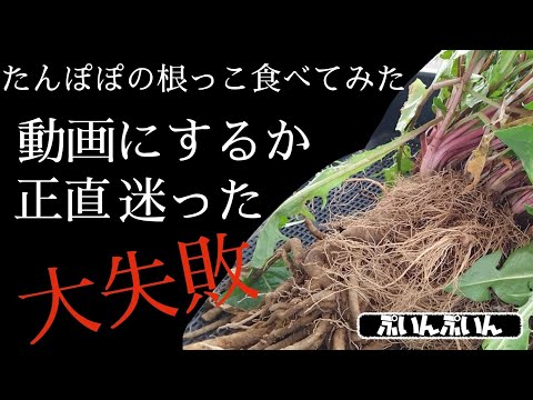 庭の利点からタンポポを食べてもいいですか
