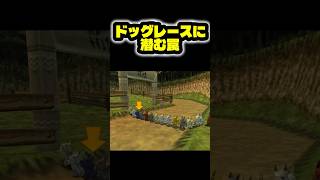 ヤラセドッグレース #ゼルダの伝説ムジュラの仮面 #ムジュラの仮面