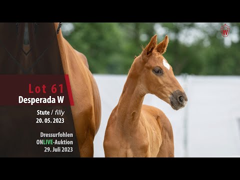 ONLIVE-AUKTION Lot 61 Desperada W Stute v. Dynamic Dream - L´Espoir