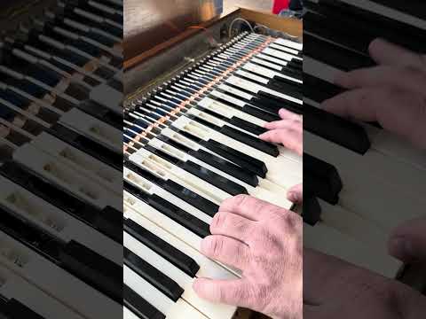 Hohner Combo Pianet piano, family of the Clavinet (serviced) image 14