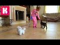 Кошечка Пушинка распаковка игрушки гуляем с кошечкой играем с котиком White cat on the ...