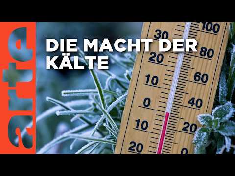 Faszinierende Temperaturen: Kälte (1/3) | Doku HD | ARTE