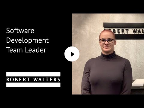 Software Development Team Leader