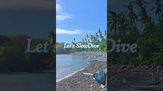 Let's Slow Dive #バリ島ダイビング #バリ島シュノーケリング #日本人インストラクター #スローダイブ #バリ島くらげ村