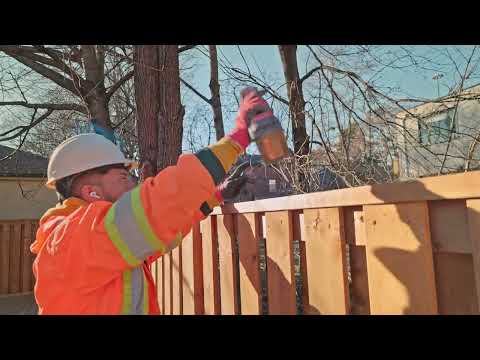 Reformity Inc. video.
