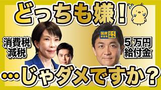 「国民民主党の給付 vs 消費税減税」どっちも嫌…
