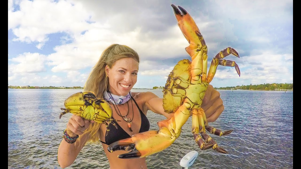 STONE CRAB CLAWS! How To ( Catch Clean Cook ) the Most Expensive Seafood Ever