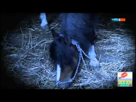 Kripo live vom 03.06.2012