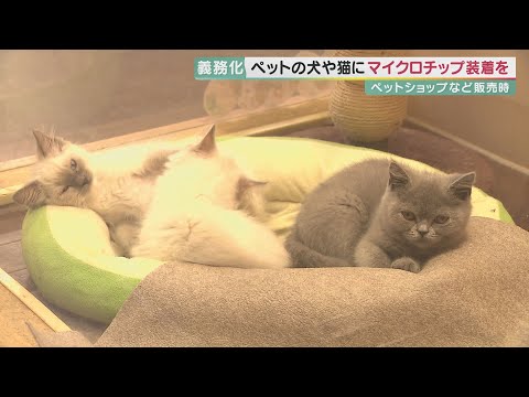 別の企業が従業員にチップを埋め込む