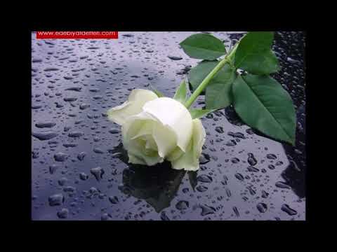 duydum ki çok mutsuzsun