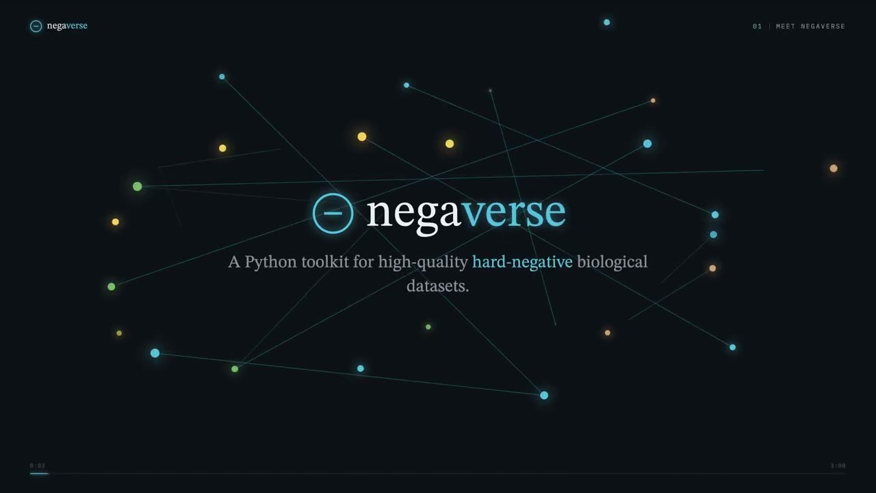 Team Negaverse project preview