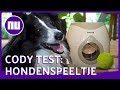 Kan een hond uit zichzelf leren apporteren? - Prul of Praal? #67 | NU.nl