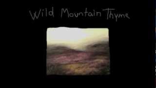 Janes Rejoice - Wild Mountain Thyme