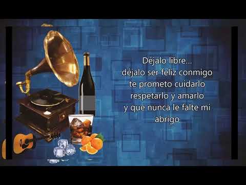 LETRA -Dejalo Libre - Francy