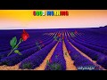 Good Morning Video