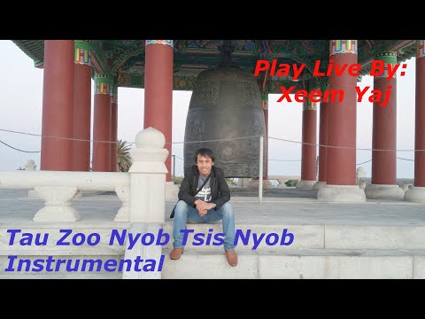 Tsua muas-Tau Zoo Nyob Tsis Nyob_Instrumental (เสบสด)