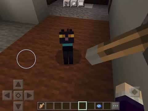 Talking kitty cat in Minecraft-9 Sylvester’s birthday