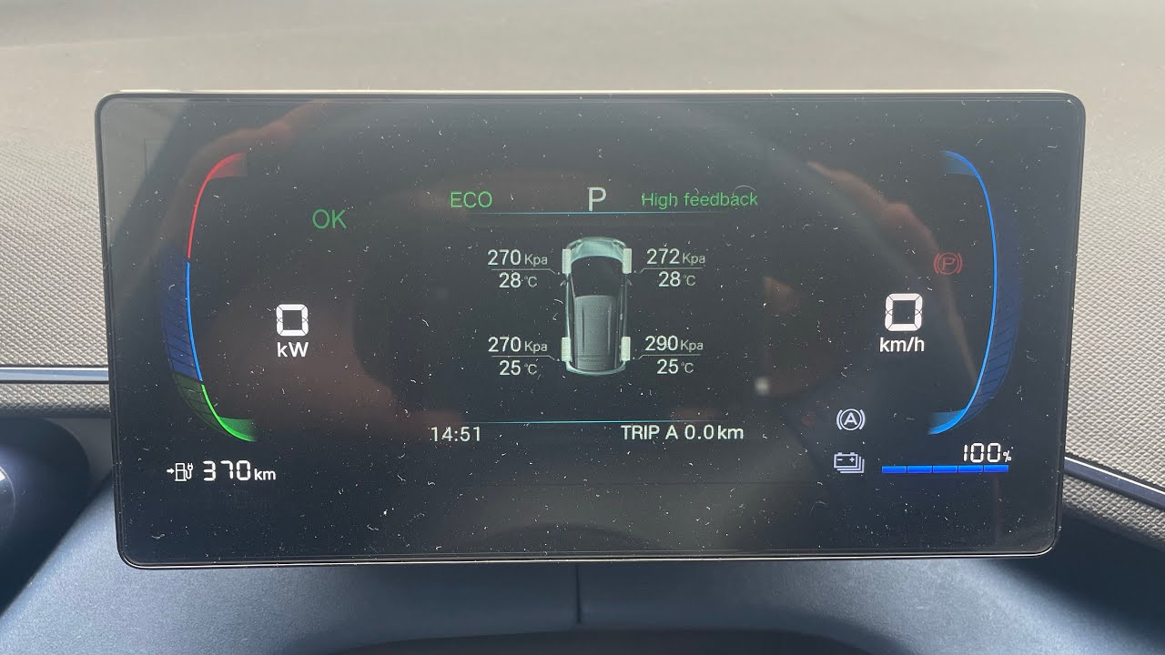 1000 km BYD Dolphin Mini!  Recomendo?