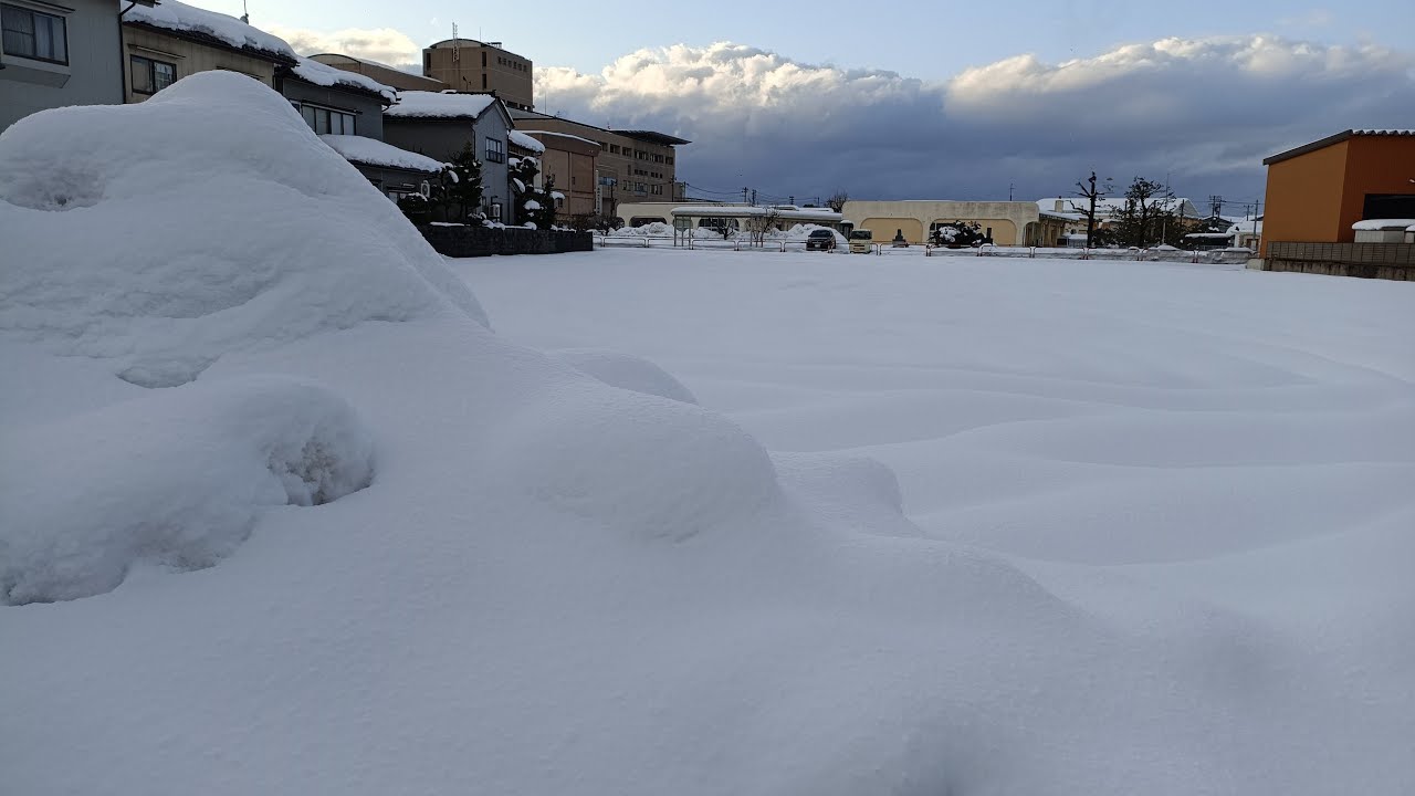 なぜSP500オルカン先進国株式は優れているのか