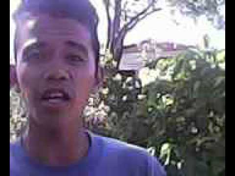 love story by pamilya esze & tha dawgz