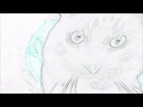 Hidely Ho, Neighboreeno