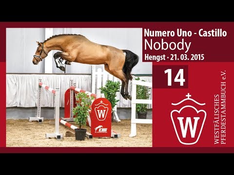 14 Nobody Hengst v. Numero Uno - Castillo
