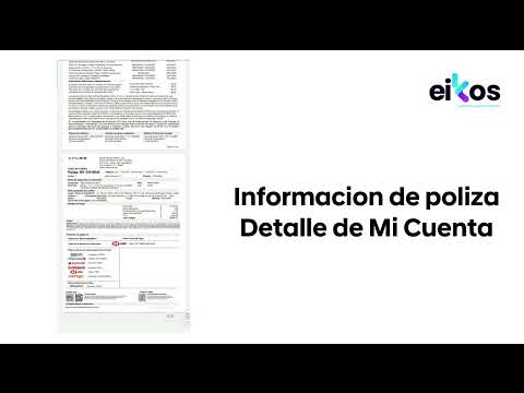 HYUNDAI PROTECT Video