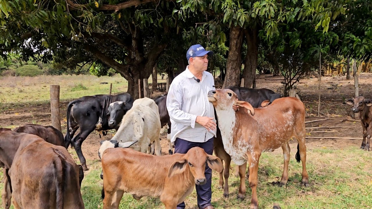 ELE REALIZOU SEU SONHO, AGORA VAI VENDER O SÍTIO PARA DESCANSAR