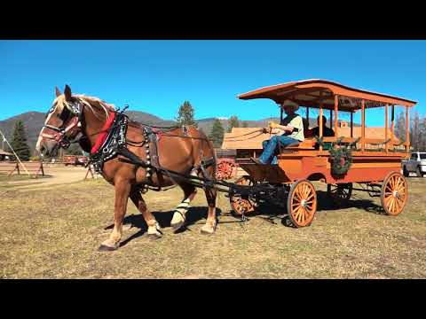 Thumbnail for Christmas Is Believin' video