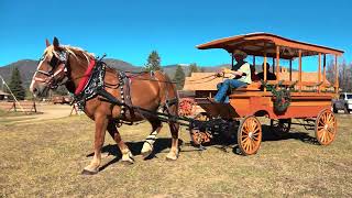 Christmas Is Believin'