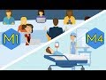 MEDICAL SCHOOL 4 Years EXPLAINED