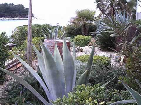 KLAPA ŠIBENIK - ZADRĆALE SU RUKE