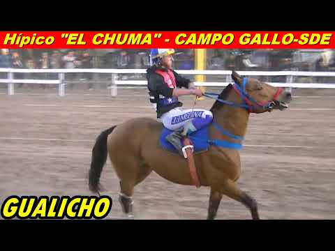 FORASTERO en HIPICO "EL CHUMA" (CAMPO GALLO-SDE 09-08-26)