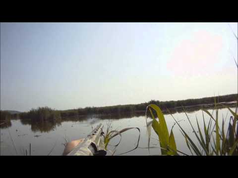 Duck Hunting 2013-14 N-M 2  Benelli M2 camo