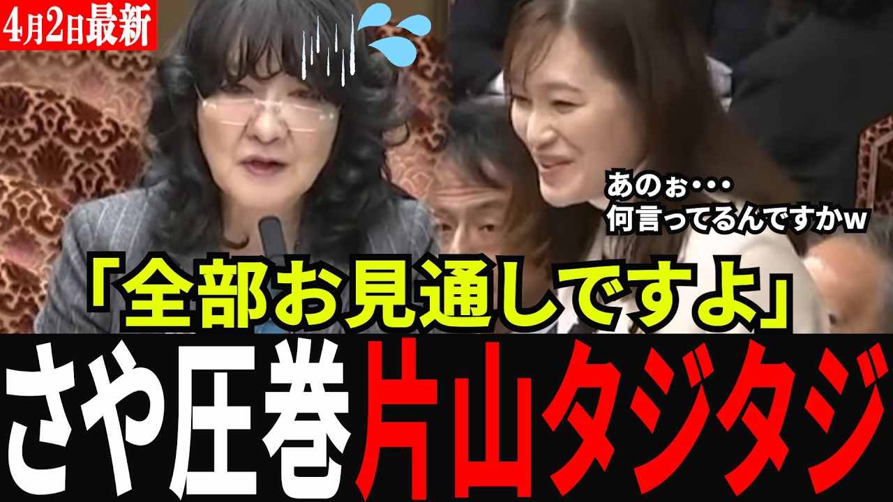 【完全論破】「そう言うと思ってました」参政党の新人・塩入さやかの見事な罠に片山財務大臣がタジタジ！消費税のヤバすぎる闇を暴く圧巻の質疑！