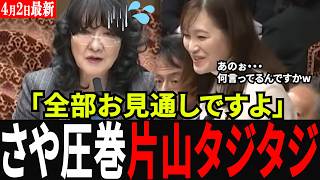 【完全論破】「そう言うと思ってました」参政党の新人・塩入さやかの見事な罠に片山財務大臣がタジタジ！消費税のヤバすぎる闇を暴く圧巻の質疑！