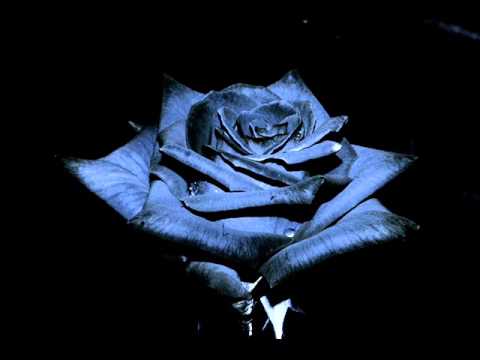 fuzzy2102 - Fuzzy2102: Song for G