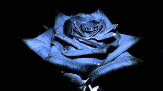 Video Fuzzy2102: Song for G