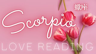 ❤️蠍座♏️《恋愛》この世はマジック。ただし苗を植えた人にのみ薔薇は咲く 💖見た時がタイミング❣️ #scorpio #タロット #蠍座 #tarot (2023/3/20)