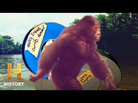 The Proof Is Out There: Bayou Beast May Be the New Bigfoot! (Season 4) | History