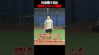 【忙しい人向けテニスレッスン】バックハンドは厚い握りでボールの威力がアップできる〈ぬいさんぽテニス（Tennis）〉 #テニス #テニスレッスン #tennis