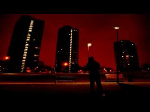 Seldom Seen Often Heard