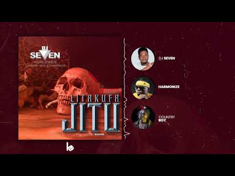 Dj Seven Ft. Country Boy & Harmonize | Litakufa Jitu Audio Spectrum.