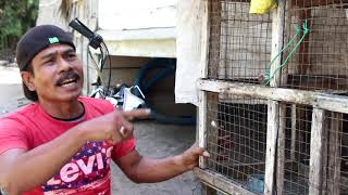 Download lagu FILM NEW BERGEK Vs APA LAHU 2019 mp3 Download lagu FILM NEW BERGEK Vs APA LAHU 2019 mp3