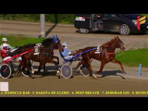 III Corsa del 4 Dicembre 2021 - 2 Anni - Metri 1600