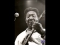 Where's My Woman Been : Muddy Waters