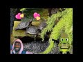 Bodyguard Lofi Alternative Cover JPEGMAFIA