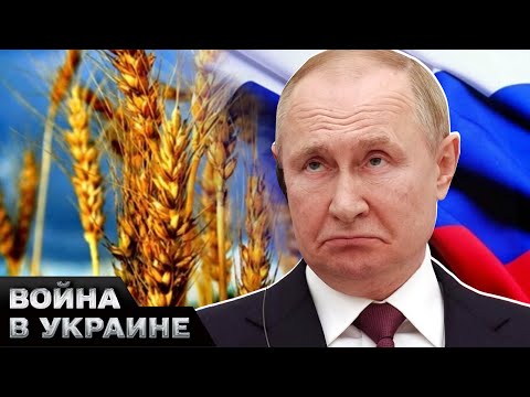 ???? ПОЛНЫЙ ЗАПРЕТ на экспорт для РФ! Зерна БОЛЬШЕ НЕ БУДЕТ В ЕС! Что с этого получит Украина?