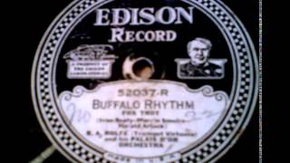 "Buffalo Rhythm" - B.A. Rolfe (Trumpet Virtuoso) & His Palais D'or Orchestra (1927 Edison)