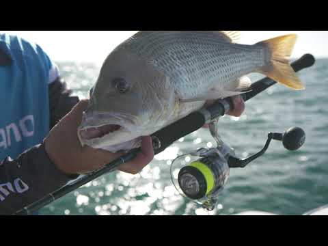 Shimano Saragosa Spinning Reel Series - BCF